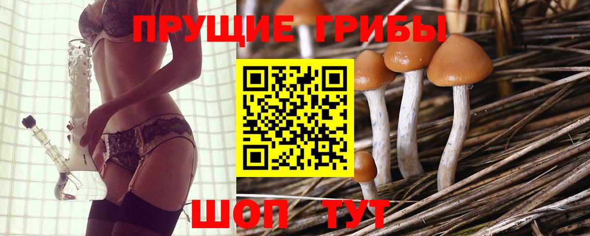 Галлюциногенные грибы прущие грибы  Вход с VPN  Зима  цены наркотик  Псилоцибиновые грибы GOLDEN TEACHER 